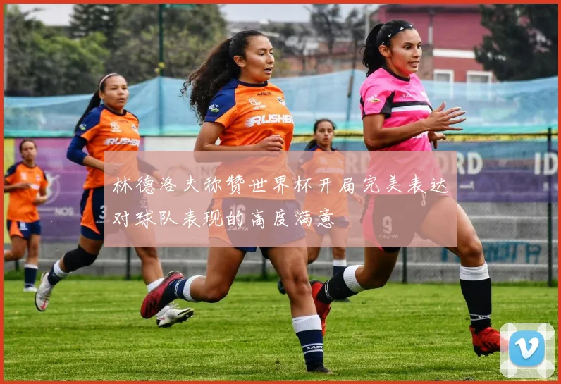 林德洛夫称赞世界杯开局完美表达对球队表现的高度满意